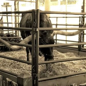 Meet your Posher, Joseph